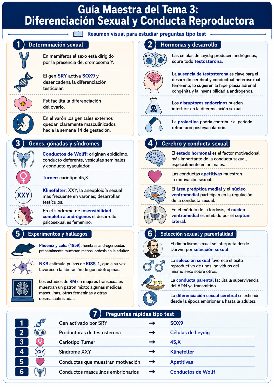 Infografía Tema 3