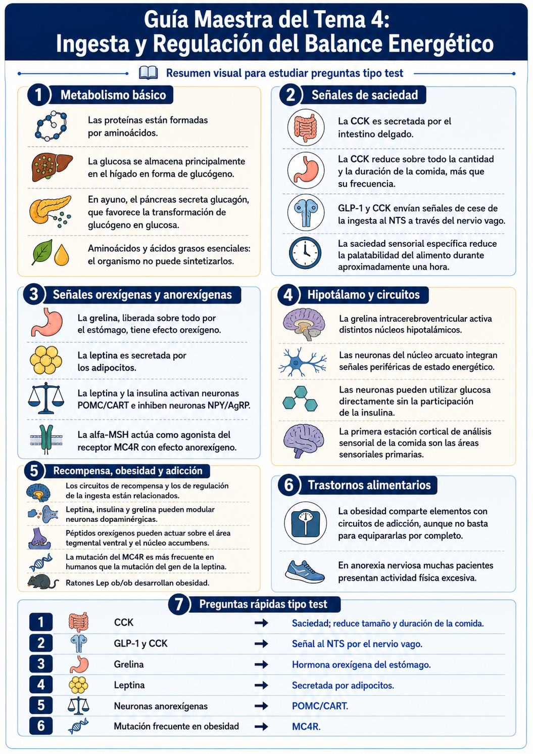 Infografía Tema 4