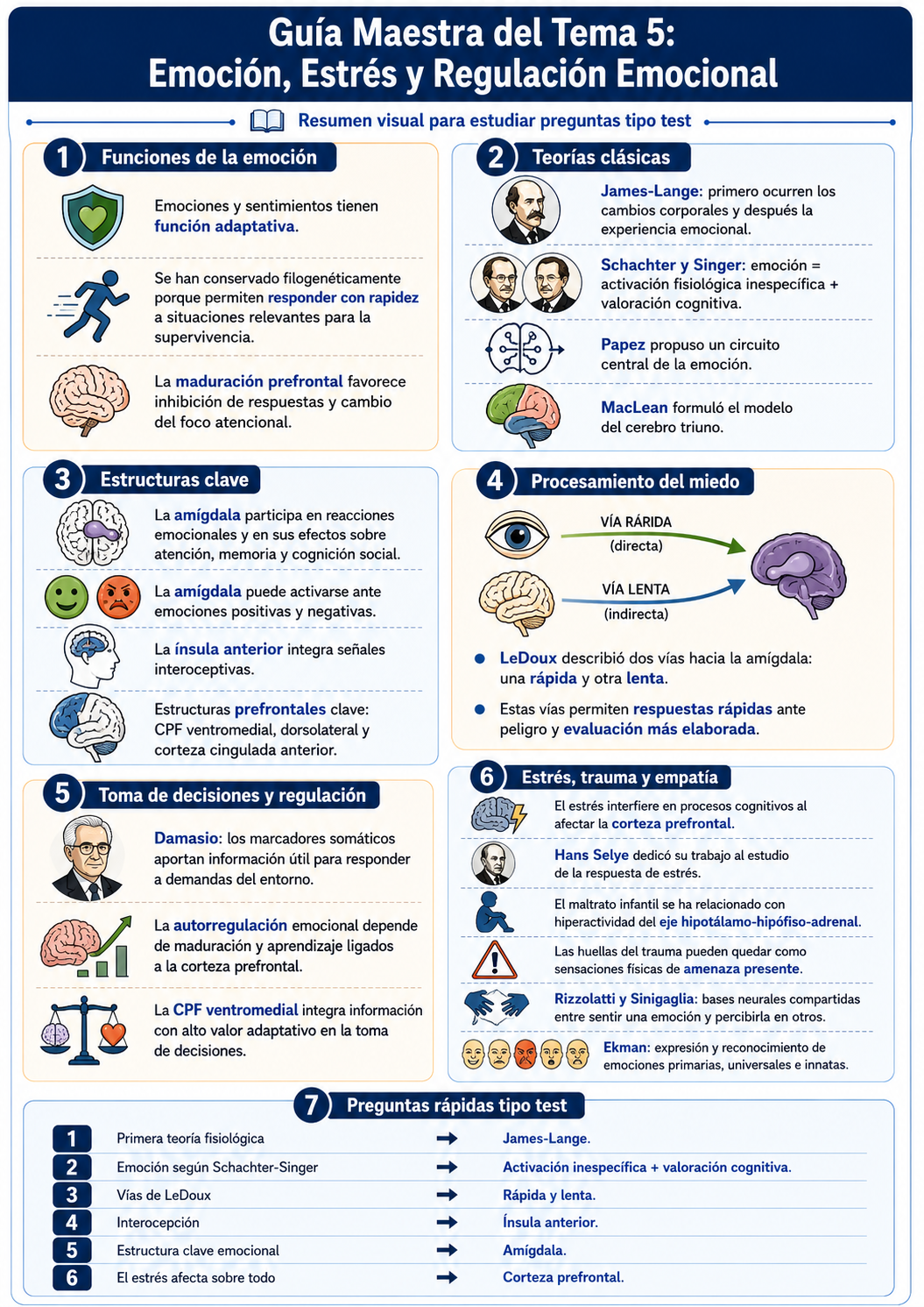 Infografía Tema 5