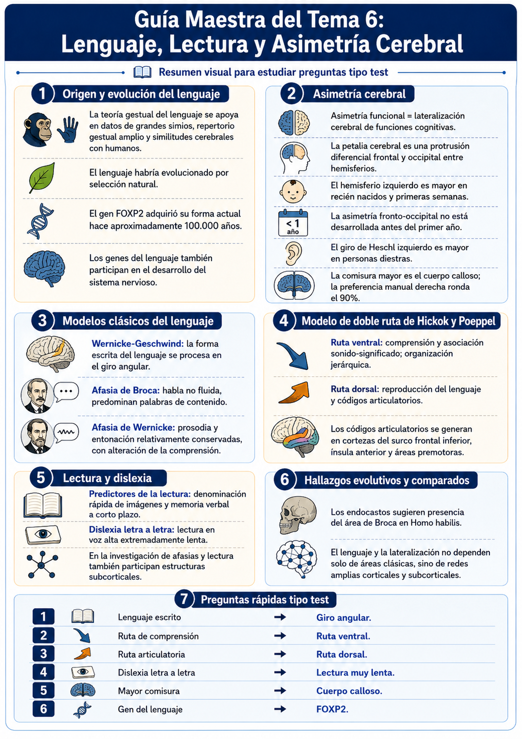 Infografía Tema 6