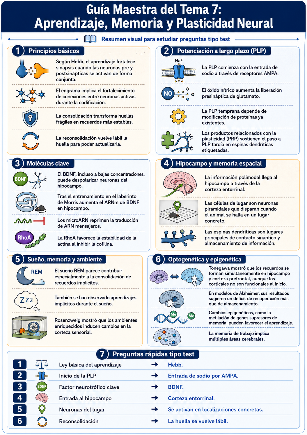 Infografía Tema 7