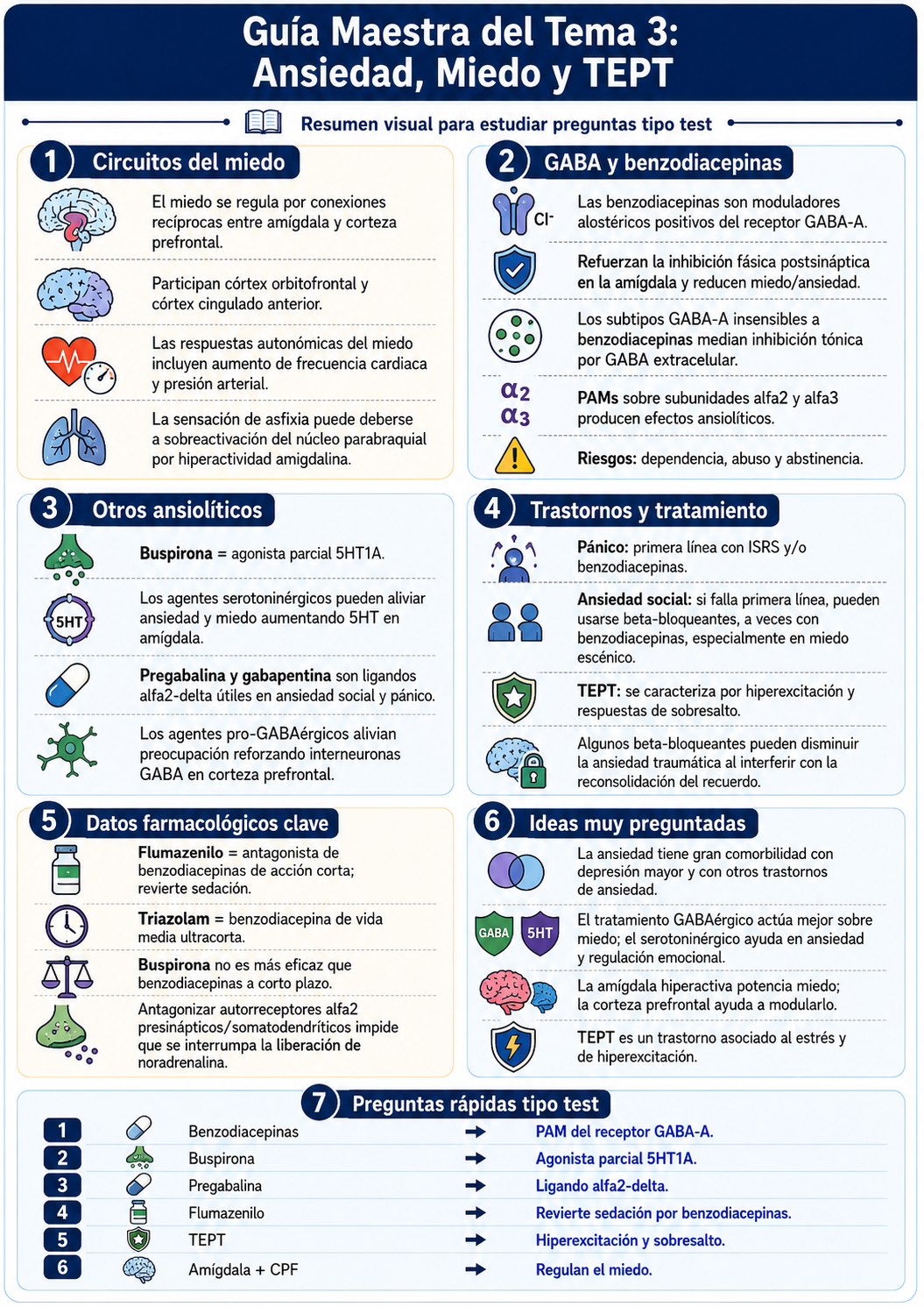 Infografía Tema 3