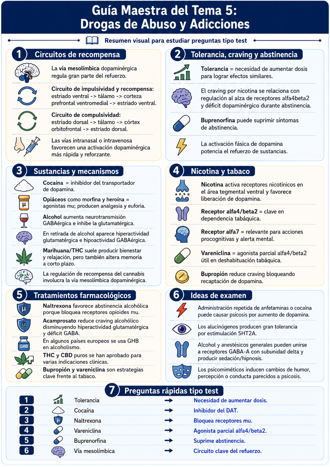Infografía Tema 5