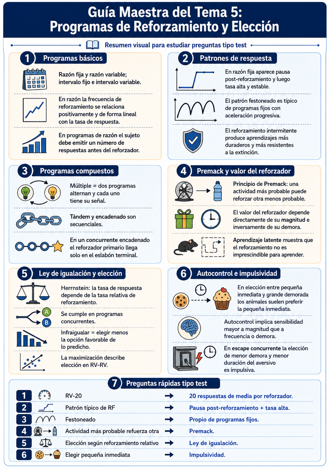 Infografía Tema 5