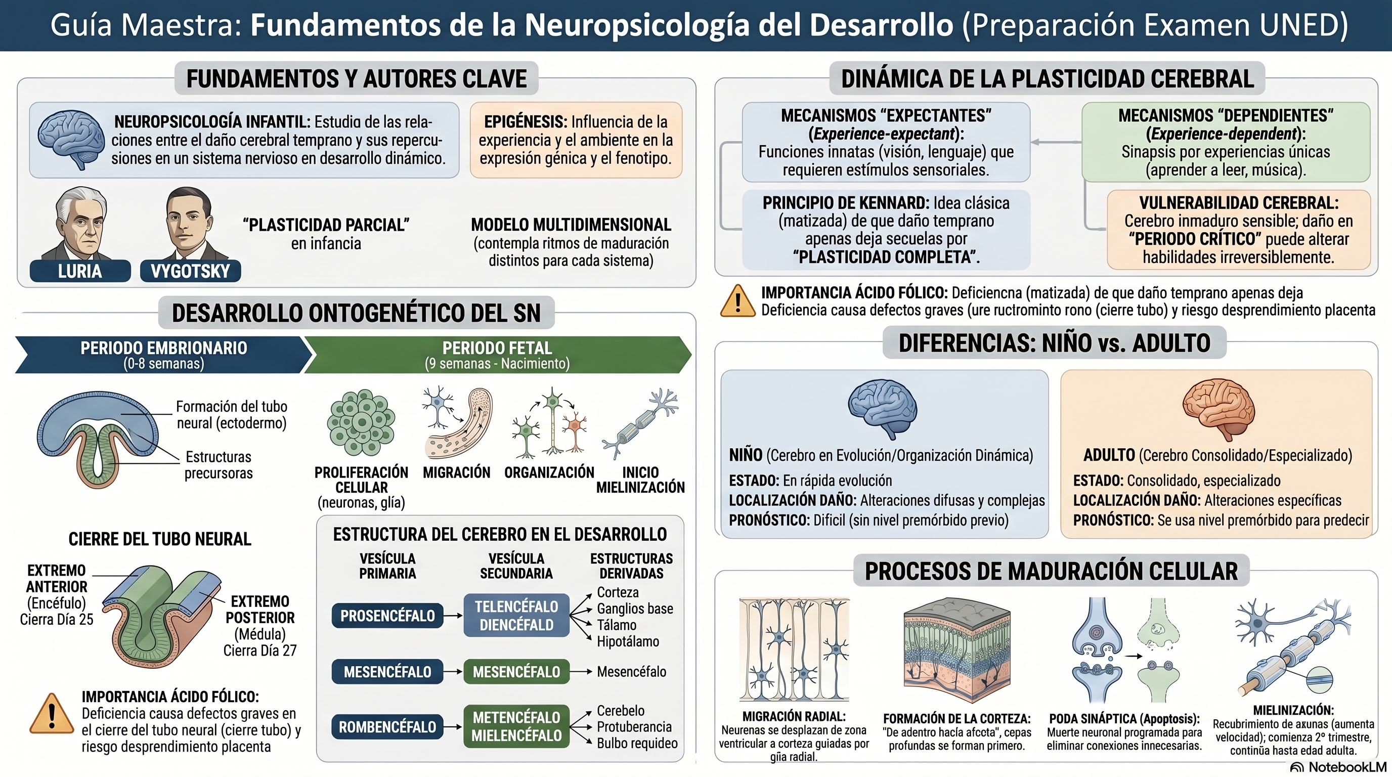 Infografía Tema 1