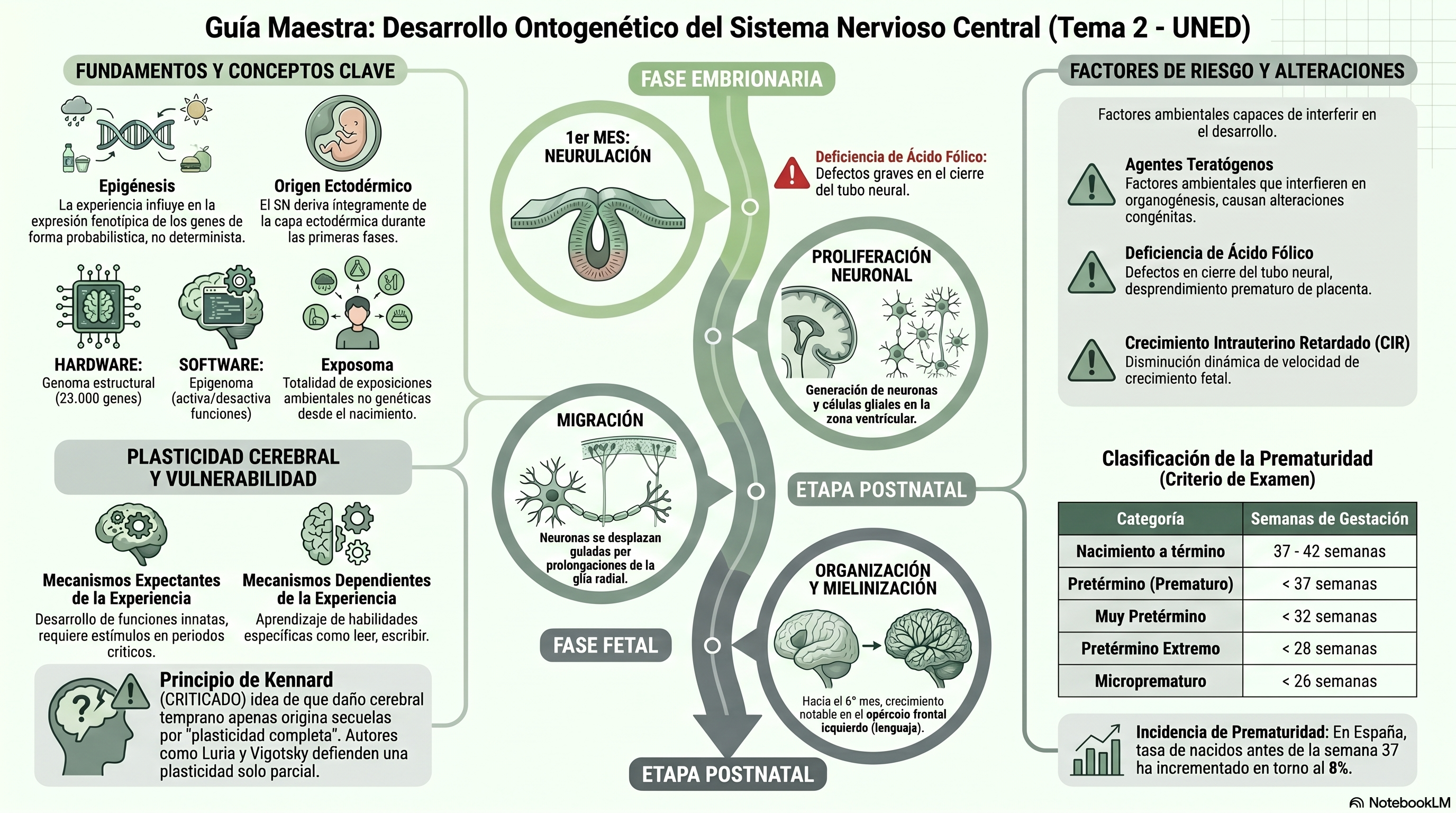 Infografía Tema 2