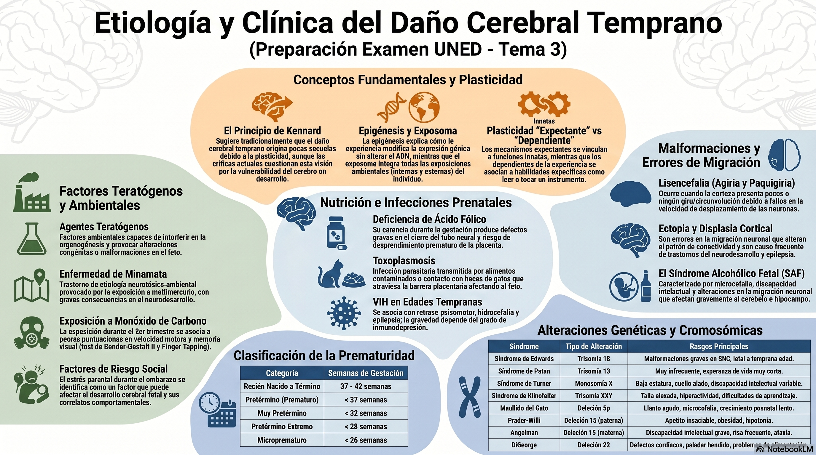 Infografía Tema 3