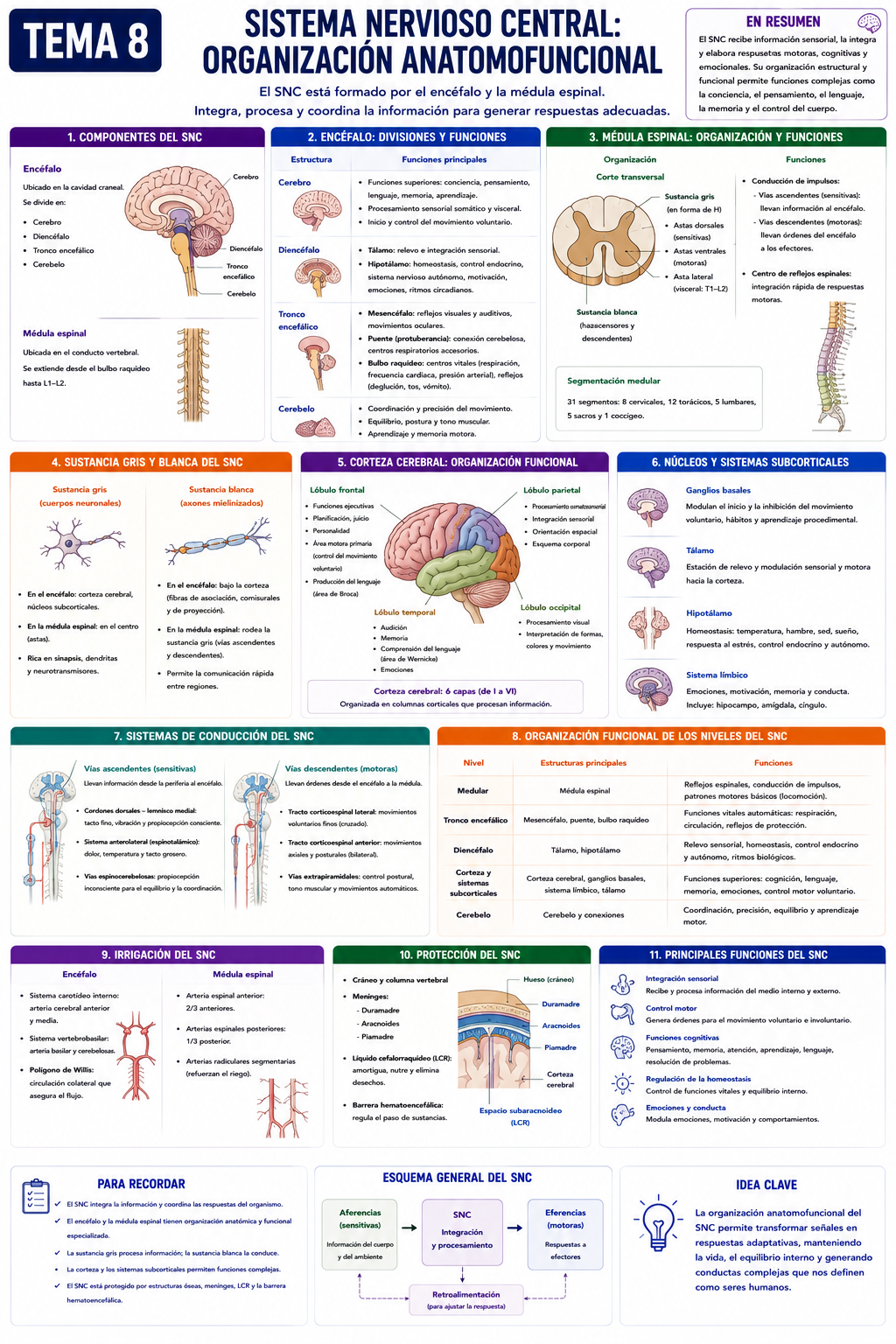 Infografía Tema 8