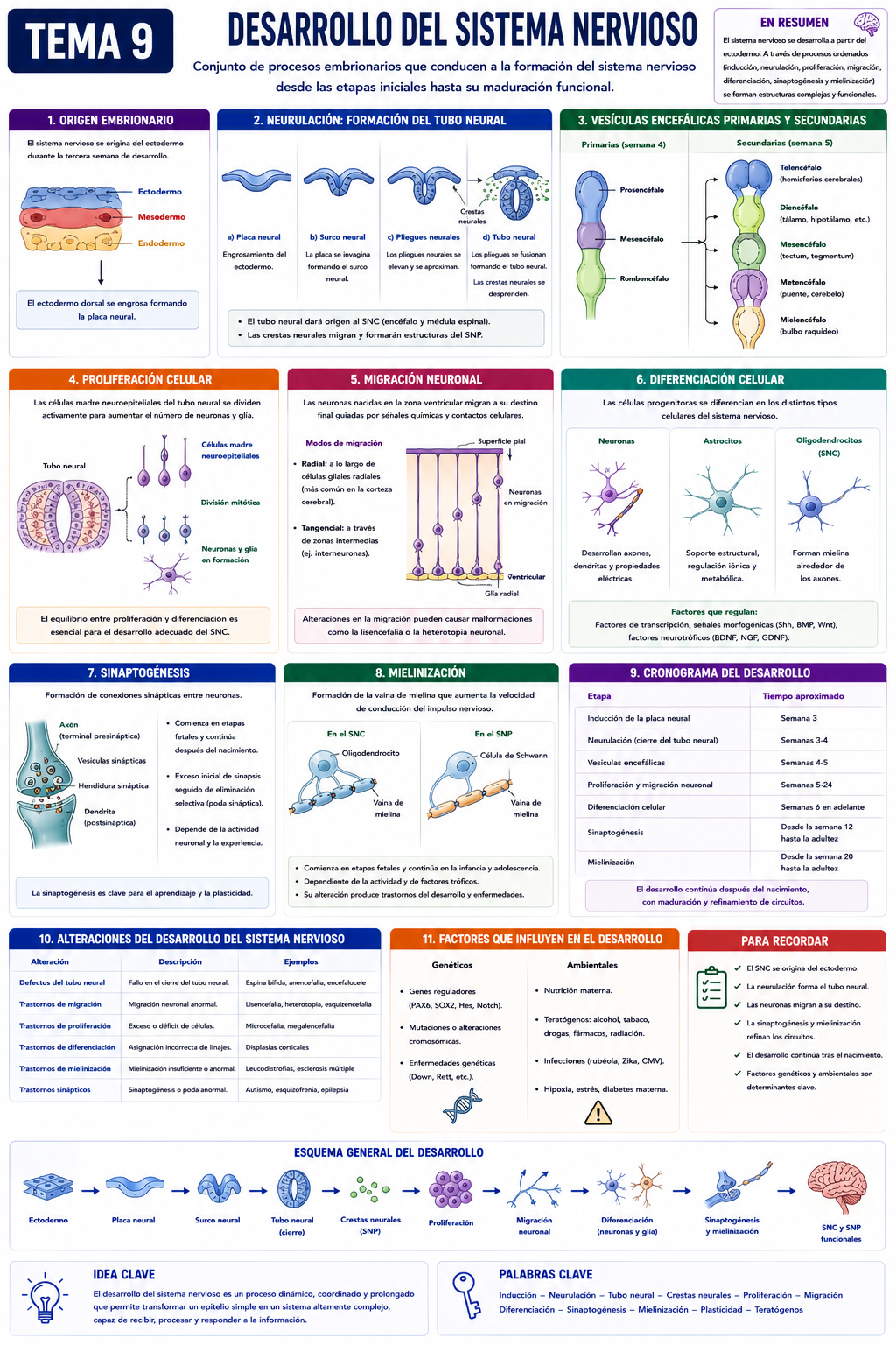 Infografía Tema 9