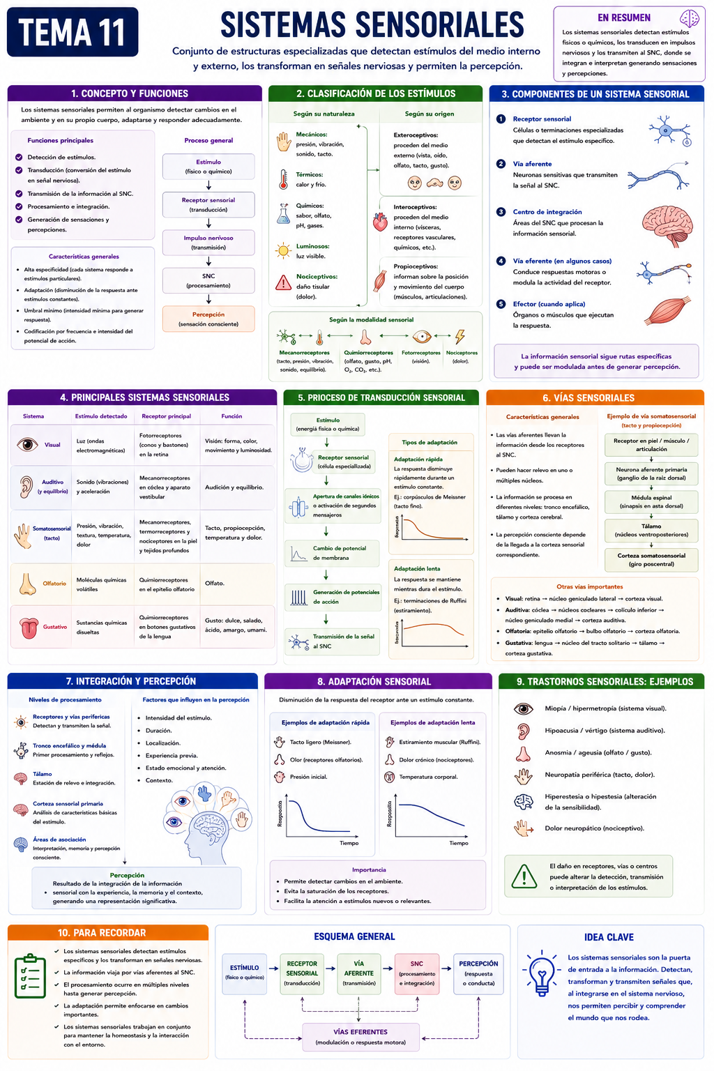 Infografía Tema 11