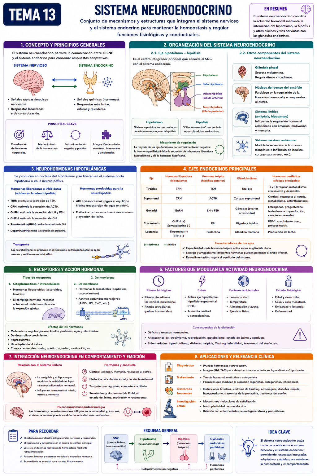 Infografía Tema 13
