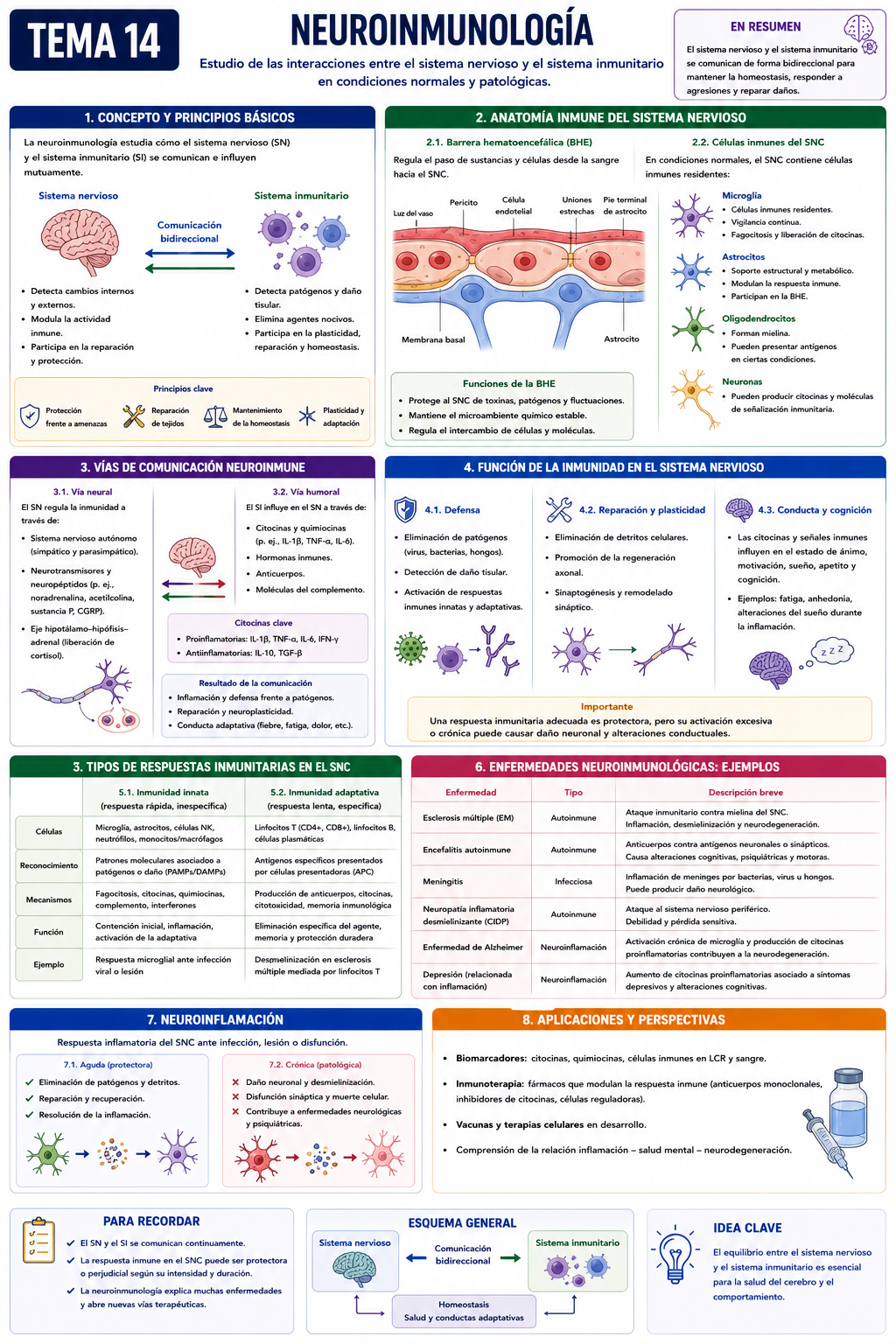Infografía Tema 14