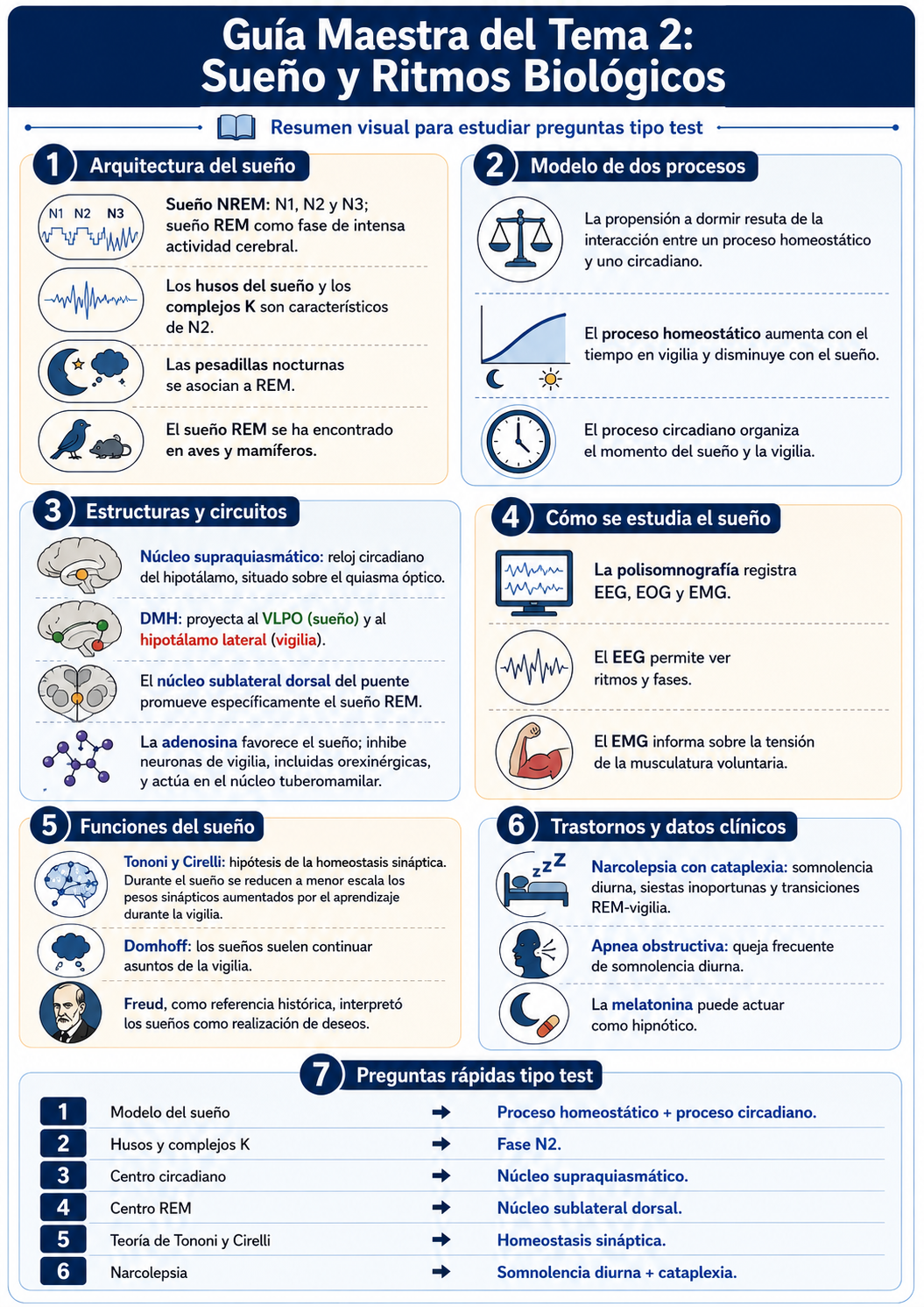 Infografía Tema 2